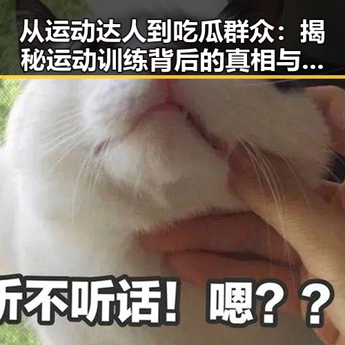 从运动达人到吃瓜群众：揭秘运动训练背后的真相与转变
