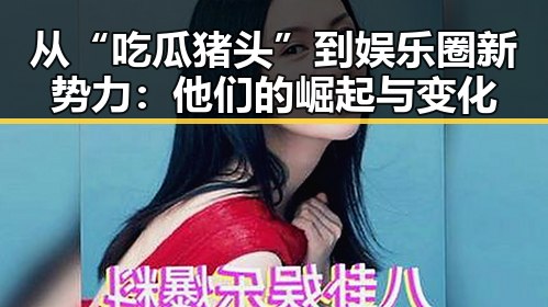 从“吃瓜猪头”到娱乐圈新势力：他们的崛起与变化