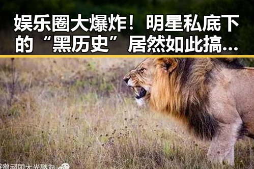 娱乐圈大爆炸！明星私底下的“黑历史”居然如此搞笑反转